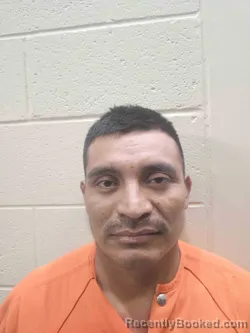 Mugshot of NOE PEREZ-LUIS booked in Todd County, Kentucky on June 21, 2026