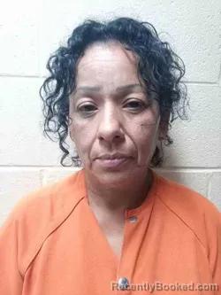 Mugshot of Maria Gomez booked in Todd County, Kentucky on October 20, 2026
