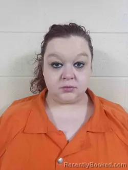 Mugshot of CAITLIN JOHNSON