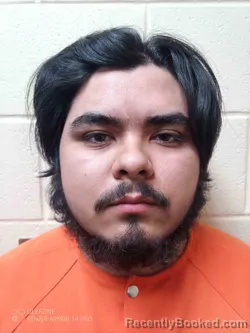 Mugshot of LUIS CRUZ