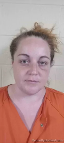 Mugshot of CHELSIE WILLIAMS