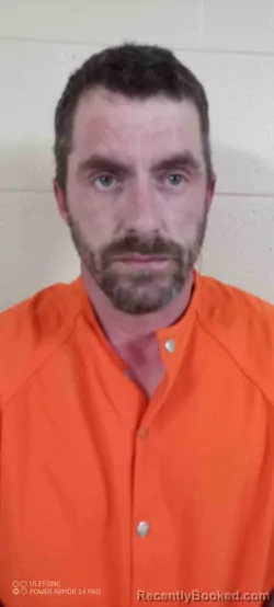 Mugshot of DENNIS HAMILTON