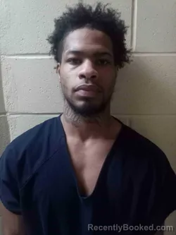 Mugshot of TYKARI LOVE