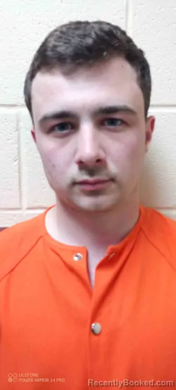 Mugshot of DALTON NELSON