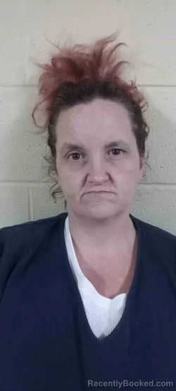 Mugshot of HEATHER BROOKS