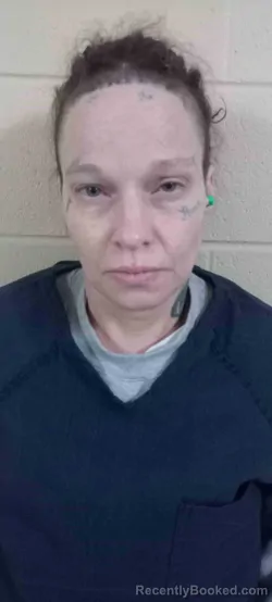 Mugshot of AMANDA WHITAKER