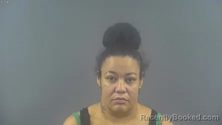 Mugshot of ASHLEY NICOLE BLAIR booked in Warren County, Kentucky on July 25, 2026
