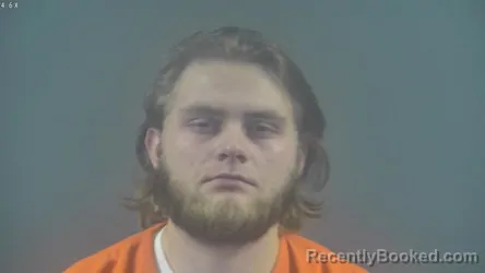 Mugshot of ANDREW DEWAYNE JENKINS