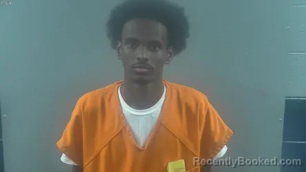 Mugshot of Aboubaker Mohamoud Mohamoud booked in Warren County, Kentucky on August 25, 2026