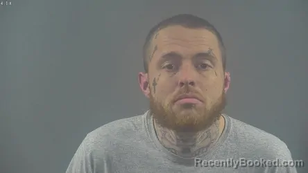 Mugshot of COLE ROBERT DAVID LANE
