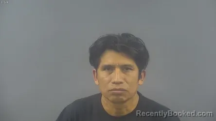 Mugshot of DOMINGO CASTRO
