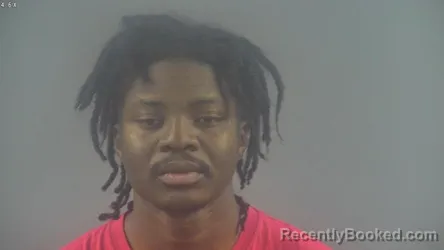 Mugshot of DUNIANI MLUNJWA