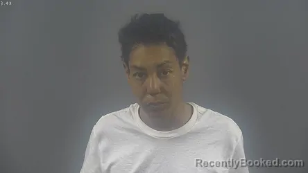 Mugshot of DESTINY VAUNTELLA WALKER booked in Warren County, Kentucky on April 7, 2026