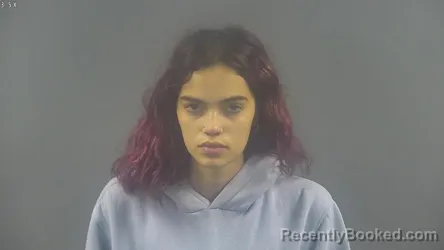 Mugshot of ERIKA GUERRERO DIAZ