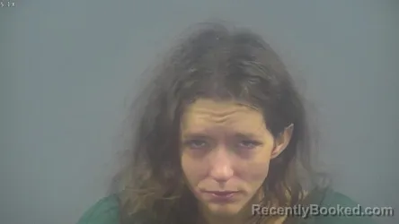 Mugshot of HEATHER JO PHELPS