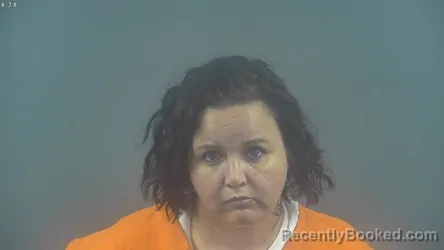 Mugshot of Heather Ann Stine booked in Warren County, Kentucky on August 29, 2026
