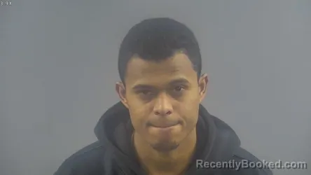 Mugshot of IVAN J LUNA VARGAS