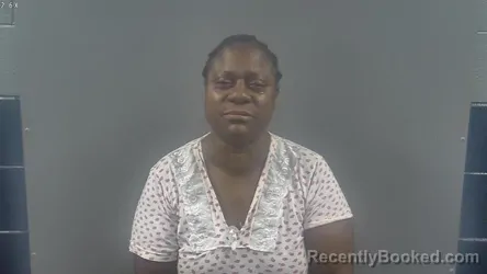 Mugshot of JESSICA MARIE DIXON booked in Warren County, Kentucky on June 22, 2026