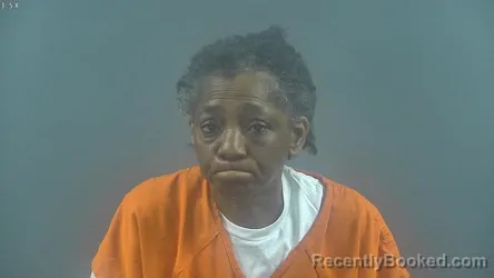 Mugshot of KIMBERLY FAYE POTTER booked in Warren County, Kentucky on July 24, 2026