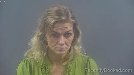 Mugshot of LEE ANN DOYLE