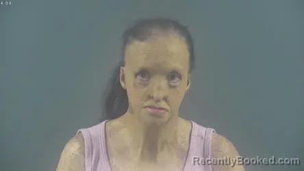 Mugshot of LANA MAE HANEY booked in Warren County, Kentucky on March 29, 2026