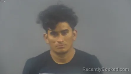 Mugshot of NELLY BAQUEDANO RODRIGUEZ booked in Warren County, Kentucky on March 22, 2026