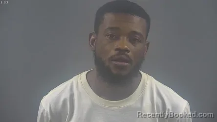 Mugshot of NATHAN OJOADEMI WISDOM booked in Warren County, Kentucky on March 24, 2026