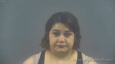 Mugshot of SANELA HUSEJNOVIC booked in Warren County, Kentucky on July 28, 2026