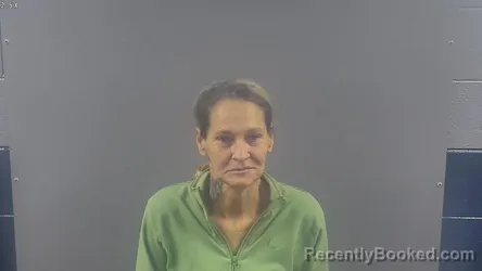 Mugshot of TAMMY KAY ADKINS booked in Warren County, Kentucky on May 12, 2026
