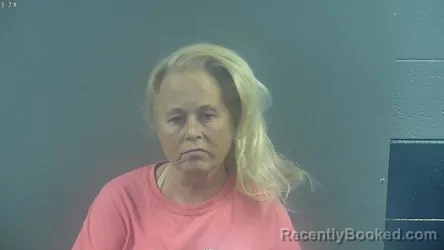 Mugshot of TERRI JANE GOOSTREE