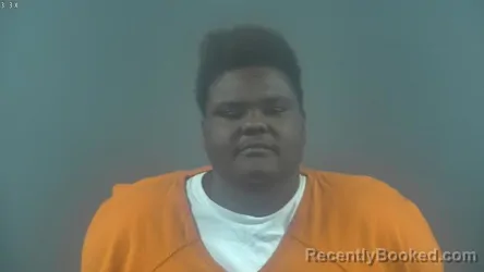 Mugshot of TANISHA ALIZE WHITELOW