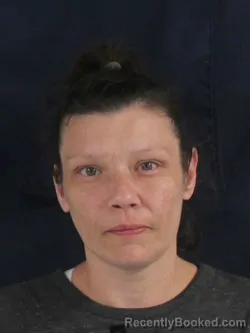 Mugshot of Erica Nichole Brooks booked in Nash County, North Carolina on August 24, 2026