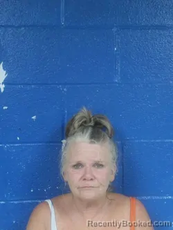 Mugshot of Lisa Gail Mazzei booked in Nash County, North Carolina on July 30, 2026