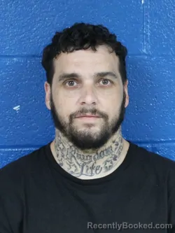 Mugshot of Harrison Bane Mills booked in Nash County, North Carolina on July 17, 2026