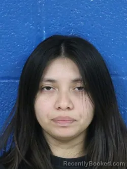 Mugshot of JOANA PANIAGUA ALEGRE booked in Nash County, North Carolina on May 21, 2026