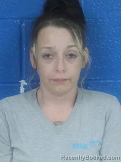 Mugshot of Desiree Nicole Gainey booked in Nash County, North Carolina on August 4, 2026