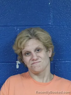 Mugshot of ASHLEY LYNN BREEDLOVE booked in Nash County, North Carolina on April 29, 2026