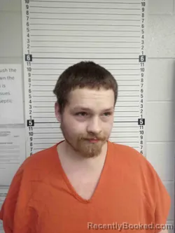 Mugshot of NATHANEIL BROWN