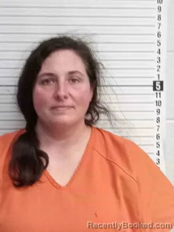 Mugshot of DONNA SULLIVAN