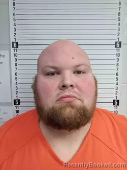 Mugshot of JOSHUA WELLS