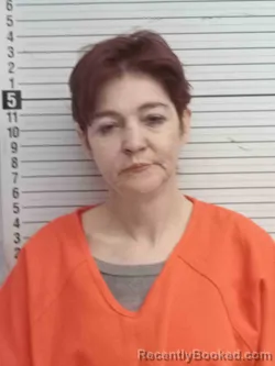 Mugshot of DEBRA HIGGINS