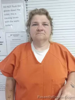 Mugshot of MELISSA WALLACE booked in Wayne County, Kentucky on March 30, 2026