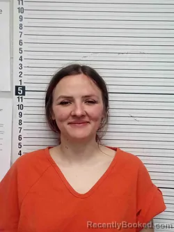 Mugshot of SANDI STRINGFIELD