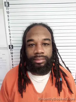 Mugshot of AMANDO STEWART