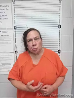 Mugshot of THERESA VETTER