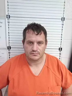 Mugshot of LONNIE GREGORY