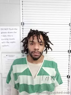 Mugshot of CHAD BROWN