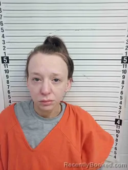 Mugshot of KIMBERLY ELMORE