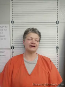 Mugshot of BRENDA MARTIN