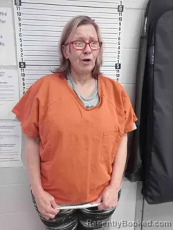 Mugshot of DEBRA SCHOONOVER